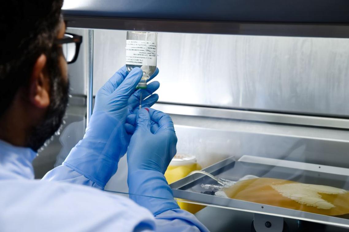 A bag of platelets being prepared for freezing.