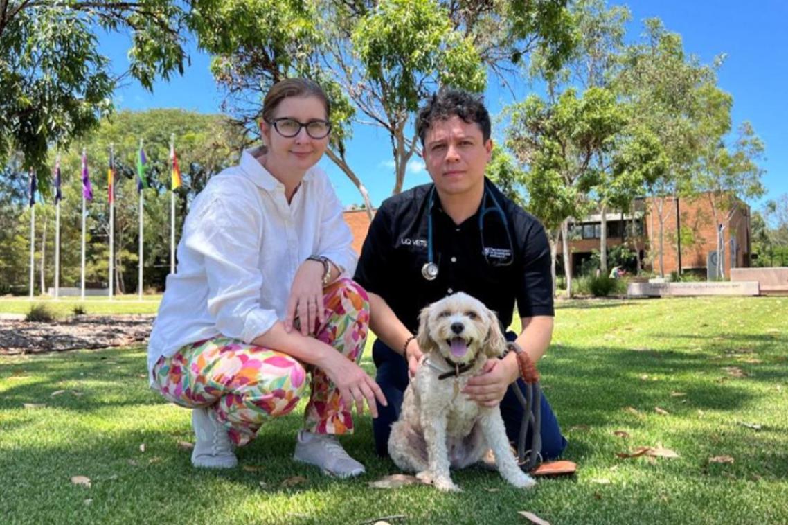 Professor Rachel Allavena and Dr José Granados Soler urge owners of eligible dogs to apply for the trial.